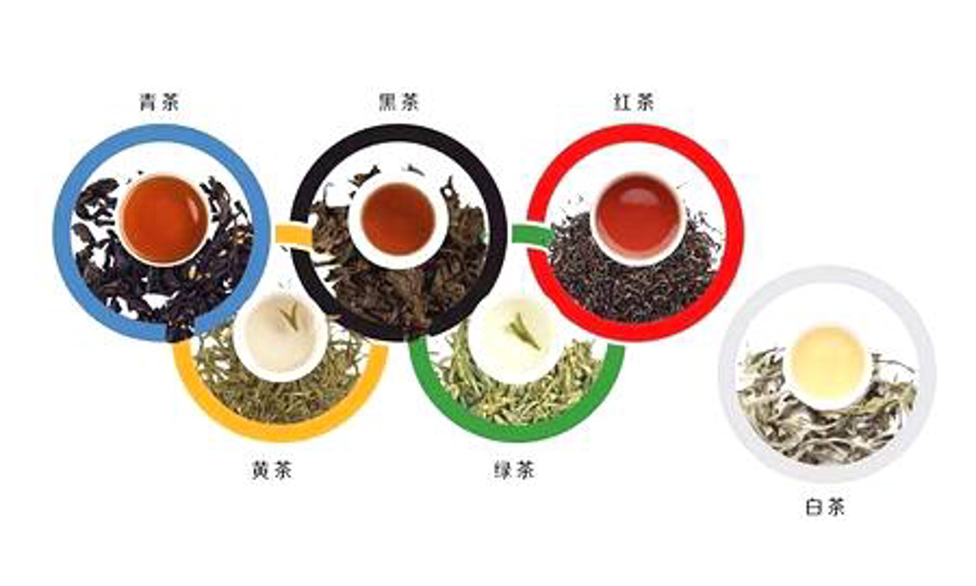 抹茶科技